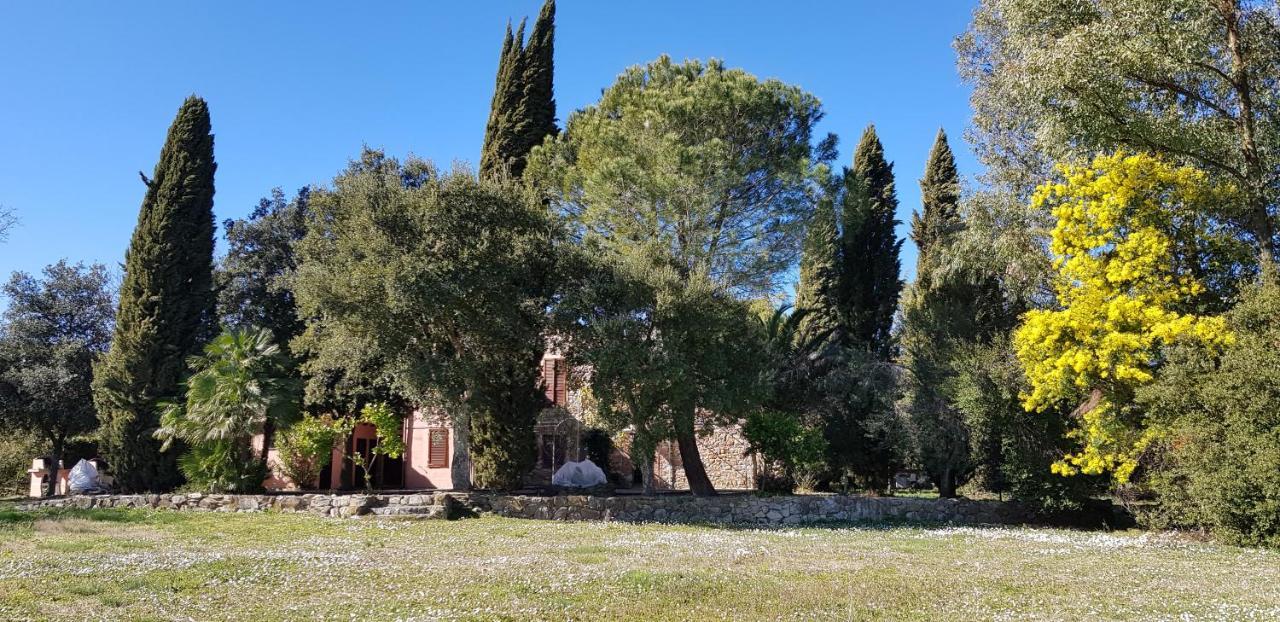 Podere La Fornace Ravi Exterior photo