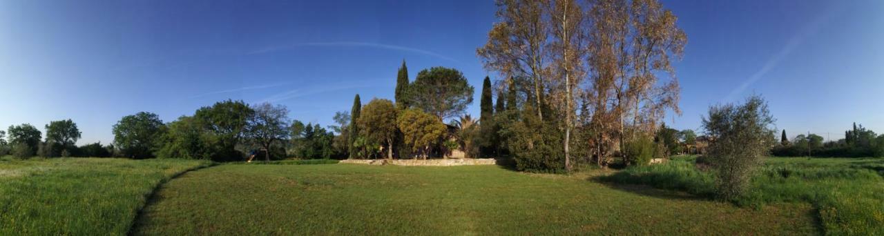 Podere La Fornace Ravi Exterior photo